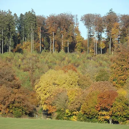 Luise Blum * Steffeln