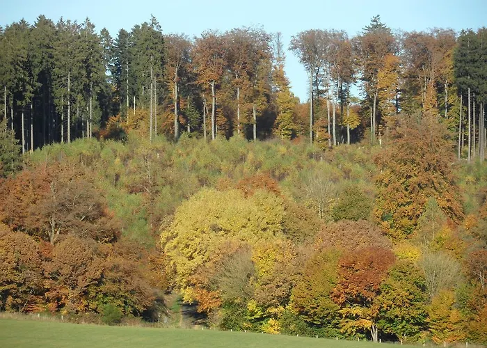 Luise Blum * Steffeln